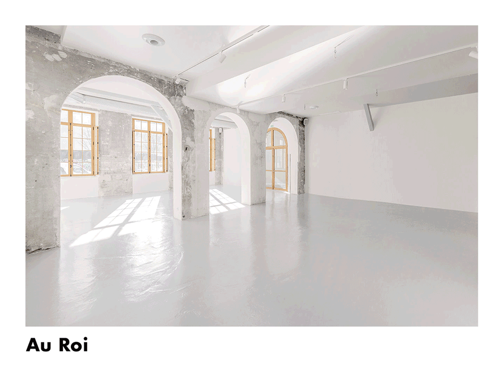 Galerie Au Roi