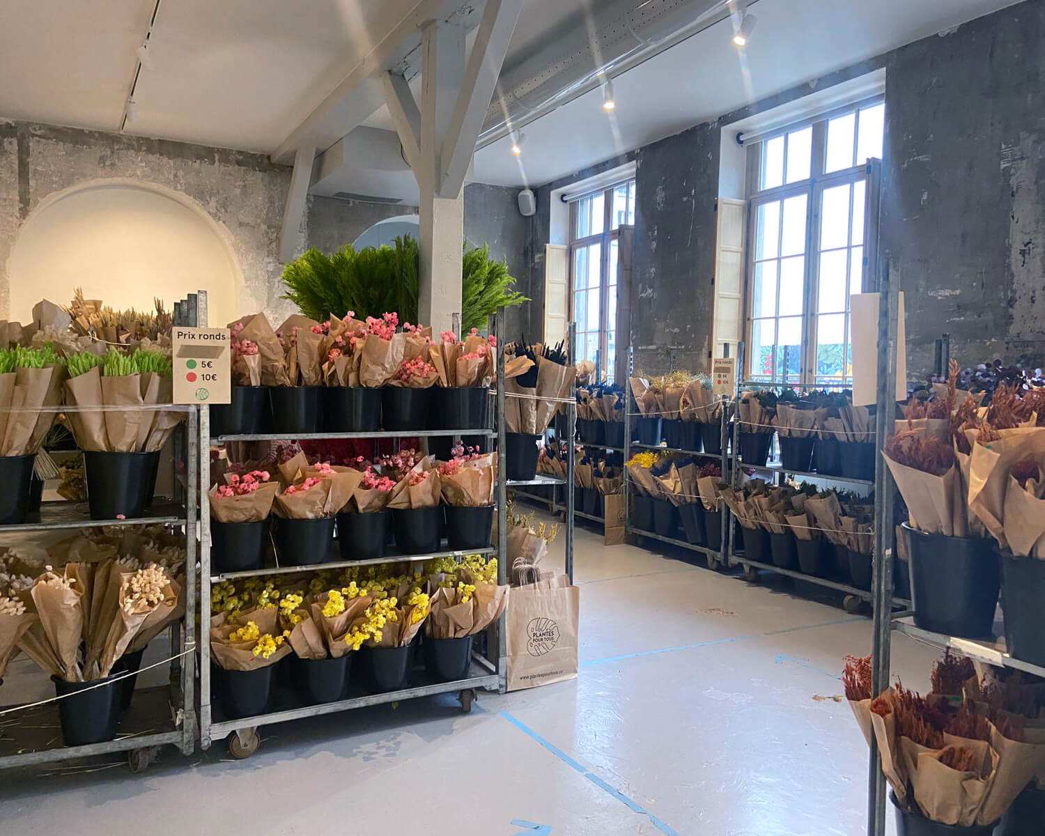 Pop-up Store pour Plantes pour tous ! à la Galerie au Roi - Paris 11