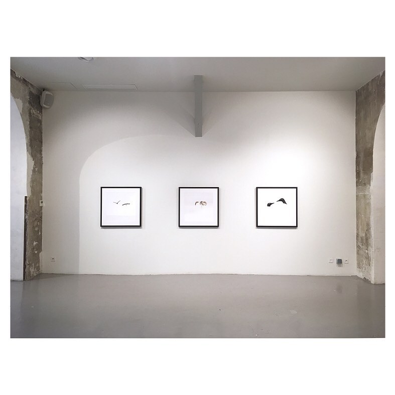 auroi_paris